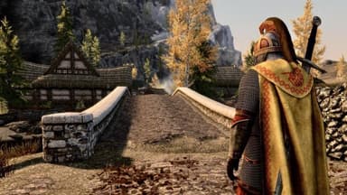 Skyrim with graphics mod.